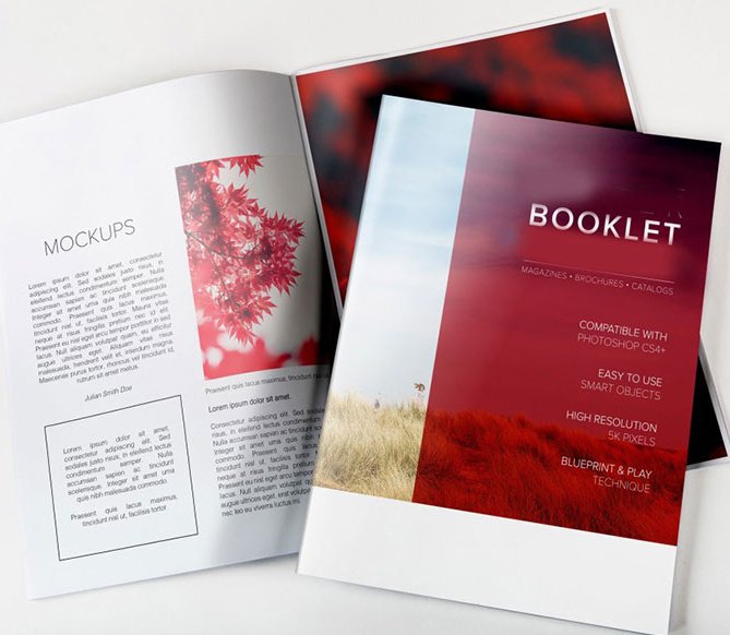 Flyers Designing